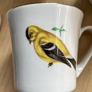 6 collectable mini cups with 6 different birds pictures